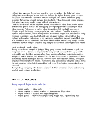 osifikasi intra membran berasal dari mesenkim yang merupakan cikal bakal dari tulang. 
pada proses perkembangan hewan vertebrata terdapat tiga lapisan lembaga yaitu ektoderm, 
medoderm, dan endoderm. mesenkim merupakan bagian dari lapisan mesoderm, yang 
kemudian berkembang menjadi jaringan ikat dan darah. Tulang tengkorak berasal langsung 
dari sel-sel mesenkim melalui proses osifikasi intramembran. 
Osifikasi endokondral adalah pergantian tulang rawan menjadi tulang keras selama proses 
pertumbuhan. proses osifikasi ini bertanggung jawab pada pembentukkan sebagian besar 
tulang manusia. Pada proses ini sel-sel tulang (osteoblas) aktif membelah dan muncul 
dibagian tengah dari tulang rawan yang disebut center osifikasi. Osteoblas selanjutnya 
berubah menjadi osteosit, sel-sel tulang dewasa ini tertanam dengan kuat pada matriks tulang. 
Sebagian besar tulang juga dapat terbentuk dari gabungan osifikasi intramembran dan 
osifikasi endokondral. pada proses ini sel mesenkim berkembang menjadi kondroblast yang 
aktif membelah. sel-sel kondroblas yang besar mensekresikan matriks yang berupa kondrin. 
kondroblas berubah menjadi osteoblas yang menghasilkan osteosit dan menghasilkan mineral 
untuk membentuk matriks tulang. 
Tulang keras dewasa merupakan jaringan hidup yang tersusun atas komponen organik dan 
komponen mineral. Komponen organik terdiri atas protein berupa serabut kolagen, matriks 
ekstraseluler dan fibroblast, dengan sel-sel hidup yang menghasilkan kolagen dan matriks. 
komponen mineral tersusun atas kalsium karbonat yang memberikan kekuatan dan kekakuan 
pada tulang. Selama kehidupan individu, osteoblas terus mensekresikan mineral, sedangkan 
osteoklast terus mengabsorb mineral. pasien rawat inap dan astronot, tulangnya serikali rapuh 
disebabkan proses reabsorbsi oleh osteoklast lebih cepat dibandingkan proses sekresi oleh 
osteoblast. 
Tulang-tulang orang yang telah berumur rapuh disebabkan komponen mineral dalam tulang 
tersebut mulai menurun produksinya. 
TULANG TENGKORAK 
Tulang tengkorak bagian kepala terdiri dari: 
 bagian parietal --> tulang dahi 
 bagian temporal --> tulang samping kiri kanan kepala dekat telinga 
 bagian occipitas --> daerah belakang daritengkorak 
 bagian spenoid --> berdekatan dengan tulang rongga mata, seperti tulang baji 
 