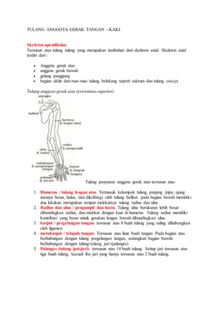 TULANG ANGGOTA GERAK TANGAN - KAKI 
Skeleton apendikular 
Tersusun atas tulang tulang yang merupakan tambahan dari skeleton axial. Skeleton axial 
terdiri dari : 
 Anggota gerak atas 
 anggota gerak bawah 
 gelang panggung 
 bagian akhir dari ruas-ruas tulang belakang seperti sakrum dan tulang coccyx 
Tulang anggota gerak atas (extremitas superior) 
Tulang penyusun anggota gerak atas tersusun atas: 
1. Humerus / tulang lengan atas. Termasuk kelompok tulang panjang /pipa, ujung 
atasnya besar, halus, dan dikelilingi oleh tulang belikat. pada bagian bawah memiliki 
dua lekukan merupakan tempat melekatnya tulang radius dan ulna 
2. Radius dan ulna / pengumpil dan hasta. Tulang ulna berukuran lebih besar 
dibandingkan radius, dan melekat dengan kuat di humerus. Tulang radius memiliki 
kontribusi yang besar untuk gerakan lengan bawah dibandingkan ulna. 
3. karpal / pergelangan tangan. tersusun atas 8 buah tulang yang saling dihubungkan 
oleh ligamen 
4. metakarpal / telapak tangan. Tersusun atas lima buah tangan. Pada bagian atas 
berhubungan dengan tulang pergelangan tangan, sedangkan bagian bawah 
berhubungan dengan tulang-tulang jari (palanges) 
5. Palanges (tulang jari-jari). tersusun atas 14 buah tulang. Setiap jari tersusun atas 
tiga buah tulang, kecuali ibu jari yang hanya tersusun atas 2 buah tulang. 
 