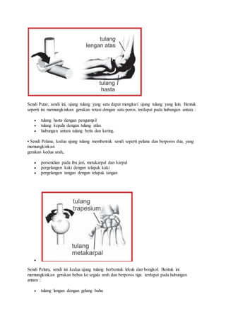 Sendi Putar, sendi ini, ujung tulang yang satu dapat mengitari ujung tulang yang lain. Bentuk 
seperti ini memungkinkan gerakan rotasi dengan satu poros. terdapat pada hubungan antara : 
 tulang hasta dengan pengumpil 
 tulang kepala dengan tulang atlas 
 hubungan antara tulang betis dan kering. 
• Sendi Pelana, kedua ujung tulang membentuk sendi seperti pelana dan berporos dua, yang 
memungkinkan 
gerakan kedua arah,. 
 persendian pada ibu jari, metakarpal dan karpal 
 pergelangan kaki dengan telapak kaki 
 pergelangan tangan dengan telapak tangan 
 
Sendi Peluru, sendi ini kedua ujung tulang berbentuk lekuk dan bongkol. Bentuk ini 
memungkinkan gerakan bebas ke segala arah dan berporos tiga. terdapat pada hubungan 
antara : 
 tulang lengan dengan gelang bahu 
 