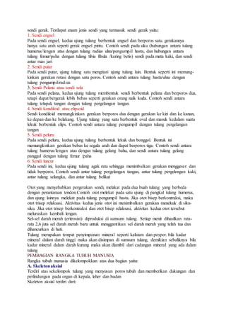 sendi gerak. Terdapat enam jenis sendi yang termasuk sendi gerak yaitu: 
1. Sendi engsel 
Pada sendi engsel, kedua ujung tulang berbentuk engsel dan berporos satu. gerakannya 
hanya satu arah seperti gerak engsel pintu. Contoh sendi pada siku (hubungan antara tulang 
humerus/lengan atas dengan tulang radius ulna/pengumpil hasta, dan hubungan antara 
tulang femur/paha dengan tulang tibia fibula /kering betis) sendi pada mata kaki, dan sendi 
antar ruas jari 
2. Sendi putar 
Pada sendi putar, ujung tulang satu mengitari ujung tulang lain. Bentuk seperti ini memung-kinkan 
gerakan rotasi dengan satu poros. Contoh sendi antara tulang hasta/ulna dengan 
tulang pengumpil/radius 
3. Sendi Pelana atau sendi sela 
Pada sendi pelana, kedua ujung tulang membentuk sendi berbentuk pelana dan berporos dua, 
tetapi dapat bergerak lebih bebas seperti gerakan orang naik kuda. Contoh sendi antara 
tulang telapak tangan dengan tulang pergelangan tangan. 
4. Sendi kondiloid atau elipsoid 
Sendi kondiloid memungkinkan gerakan berporos dua dengan gerakan ke kiri dan ke kanan, 
ke depan dan ke belakang. Ujung tulang yang satu berbentuk oval dan masuk kedalam suatu 
lekuk berbentuk elips. Contoh sendi antara tulang pengumpil dengan tulang pergelangan 
tangan 
5. Sendi peluru 
Pada sendi peluru, kedua ujung tulang berbentuk lekuk dan bonggol. Bentuk ini 
memungkinkan gerakan bebas ke segala arah dan dapat berporos tiga. Contoh sendi antara 
tulang humerus/lengan atas dengan tulang gelang bahu, dan sendi antara tulang gelang 
panggul dengan tulang femur /paha 
6. Sendi luncur 
Pada sendi ini, kedua ujung tulang agak rata sehingga menimbulkan gerakan menggeser dan 
tidak berporos. Contoh sendi antar tulang pergelangan tangan, antar tulang pergelengan kaki, 
antar tulang selangka, dan antar tulang belikat 
Otot yang menyebabkan pergerakan sendi, melakat pada dua buah tulang yang berbeda 
dengan perantaraan tendon.Contoh otot melekat pada satu ujung di pangkal tulang humerus, 
dan ujung lainnya melekat pada tulang pengumpil hasta. Jika otot bisep berkontraksi, maka 
otot trisep relaksasi. Aktivitas kedua jenis otot ini menimbulkan gerakan menekuk di siku-siku. 
Jika otot trisep berkontraksi dan otot bisep relaksasi, aktivitas kedua otot tersebut 
meluruskan kembali lengan. 
Sel-sel darah merah (eritrosist) diproduksi di sumsum tulang. Setiap menit dihasilkan rata-rata 
2,6 juta sel darah merah baru untuk menggantikan sel darah merah yang telah tua dan 
dihancurkan di hati. 
Tulang merupakan tempat penyimpanan mineral seperti kalsium dan pospor. bila kadar 
mineral dalam darah tinggi maka akan disimpan di sumsum tulang, demikian sebaliknya bila 
kadar mineral dalam darah kurang maka akan diambil dari cadangan mineral yang ada dalam 
tulang 
PEMBAGIAN RANGKA TUBUH MANUSIA 
Rangka tubuh manusia dikelompokkan atas dua bagian yaitu: 
A. Skeleton aksial 
Terdiri atas sekelompok tulang yang menyusun poros tubuh dan memberikan dukungan dan 
perlindungan pada organ di kepala, leher dan badan 
Skeleton aksial terdiri dari: 
 