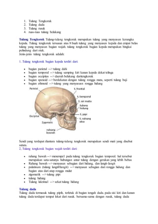 1. Tulang Tengkorak 
2. Tulang dada 
3. Tulang rusuk 
4. ruas-ruas tulang belakang 
Tulang Tengkorak Tulang-tulang tengkorak merupakan tulang yang menyusun kerangka 
kepala. Tulang tengkorak tersusun atas 8 buah tulang yang menyusun kepala dan empat belas 
tulang yang menyusun bagian wajah. tulang tengkorak bagian kepala merupakan bingkai 
pelindung dari otak. 
Jenis-jenis tulang tengkorak adalah: 
1. Tulang tengkorak bagian kepala terdiri dari: 
 bagian parietal --> tulang dahi 
 bagian temporal --> tulang samping kiri kanan kepala dekat telinga 
 bagian occipitas --> daerah belakang daritengkorak 
 bagian spenoid --> berdekatan dengan tulang rongga mata, seperti tulang baji 
 bagian ethmoid --> tulang yang menyususn rongga hidung 
Sendi yang terdapat diantara tulang-tulang tengkorak merupakan sendi mati yang disebut 
sutura. 
2, Tulang tengkorak bagian wajah terdiri dari: 
 rahang bawah --> menempel pada tulang tengkorak bagian temporal. hal tersebut 
merupakan satu-satunya hubungan antar tulang dengan gerakan yang lebih bebas 
 Rahang bawah --> menyusun sebagian dari hidung, dan langit- langit 
 palatinum (tulang langit0langit) --> menyusun sebagian dari rongga hidung dan 
bagian atas dari atap rongga mulut 
 zigomatik --> tulang pipi 
 tulang hidung 
 Tulang lakrimal --> sekat tulang hidung 
Tulang dada 
Tulang dada termasuk tulang pipih, terletak di bagian tengah dada. pada sisi kiri dan kanan 
tulang dada terdapat tempat lekat dari rusuk. bersama-sama dengan rusuk, tulang dada 
 
