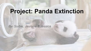 Project: Panda Extinction 
By: Sorbie, Jasmine & Jessica 
By: Jessica, Jasmine & Sorbie 
 