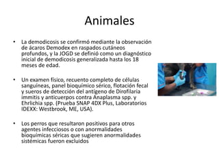 Animales
• La demodicosis se confirmó mediante la observación
de ácaros Demodex en raspados cutáneos
profundos, y la JOGD se definió como un diagnóstico
inicial de demodicosis generalizada hasta los 18
meses de edad.
• Un examen físico, recuento completo de células
sanguíneas, panel bioquímico sérico, flotación fecal
y sueros de detección del antígeno de Dirofilaria
immitis y anticuerpos contra Anaplasma spp. y
Ehrlichia spp. (Prueba SNAP 4DX Plus, Laboratorios
IDEXX: Westbrook, ME, USA).
• Los perros que resultaron positivos para otros
agentes infecciosos o con anormalidades
bioquímicas séricas que sugieren anormalidades
sistémicas fueron excluidos
 