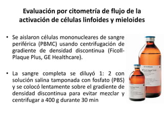 Evaluación por citometría de flujo de la
activación de células linfoides y mieloides
• Se aislaron células mononucleares de sangre
periférica (PBMC) usando centrifugación de
gradiente de densidad discontinua (Ficoll-
Plaque Plus, GE Healthcare).
• La sangre completa se diluyó 1: 2 con
solución salina tamponada con fosfato (PBS)
y se colocó lentamente sobre el gradiente de
densidad discontinua para evitar mezclar y
centrifugar a 400 g durante 30 min
 