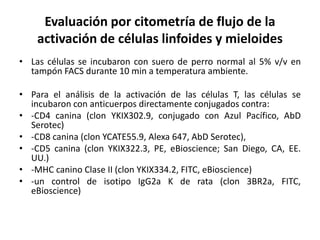 Evaluación por citometría de flujo de la
activación de células linfoides y mieloides
• Las células se incubaron con suero de perro normal al 5% v/v en
tampón FACS durante 10 min a temperatura ambiente.
• Para el análisis de la activación de las células T, las células se
incubaron con anticuerpos directamente conjugados contra:
• -CD4 canina (clon YKIX302.9, conjugado con Azul Pacífico, AbD
Serotec)
• -CD8 canina (clon YCATE55.9, Alexa 647, AbD Serotec),
• -CD5 canina (clon YKIX322.3, PE, eBioscience; San Diego, CA, EE.
UU.)
• -MHC canino Clase II (clon YKIX334.2, FITC, eBioscience)
• -un control de isotipo IgG2a K de rata (clon 3BR2a, FITC,
eBioscience)
 