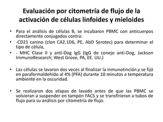 Evaluación por citometría de flujo de la
activación de células linfoides y mieloides
• Para el análisis de células B, se incubaron PBMC con anticuerpos
directamente conjugados contra:
• -CD21 canino (clon CA2.1D6, PE, AbD Serotec) para determinar el
tipo de célula,
• - MHC Clase II y anti-Dog IgG (IgG de conejo anti-Dog, Jackson
ImmunoResearch; West Grove, PA, EE. UU.)
• Las células se lavaron dos veces al finalizar la inmunotinción.y se fijó
en paraformaldehído al 4% (PFA) durante 10 minutos a temperatura
ambiente en la oscuridad.
• Se realizaron dos etapas de lavado antes de que las PBMC se
volvieran a suspender en tampón FACS y se transfirieran a tubos de
flujo para su análisis por citometría de flujo.
 