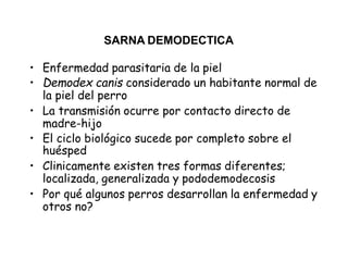• Enfermedad parasitaria de la piel
• Demodex canis considerado un habitante normal de
la piel del perro
• La transmisión ocurre por contacto directo de
madre-hijo
• El ciclo biológico sucede por completo sobre el
huésped
• Clinicamente existen tres formas diferentes;
localizada, generalizada y pododemodecosis
• Por qué algunos perros desarrollan la enfermedad y
otros no?
SARNA DEMODECTICA
 