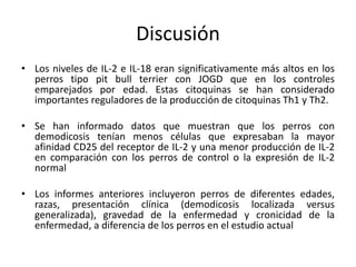 Discusión
• Los niveles de IL-2 e IL-18 eran significativamente más altos en los
perros tipo pit bull terrier con JOGD que en los controles
emparejados por edad. Estas citoquinas se han considerado
importantes reguladores de la producción de citoquinas Th1 y Th2.
• Se han informado datos que muestran que los perros con
demodicosis tenían menos células que expresaban la mayor
afinidad CD25 del receptor de IL-2 y una menor producción de IL-2
en comparación con los perros de control o la expresión de IL-2
normal
• Los informes anteriores incluyeron perros de diferentes edades,
razas, presentación clínica (demodicosis localizada versus
generalizada), gravedad de la enfermedad y cronicidad de la
enfermedad, a diferencia de los perros en el estudio actual
 