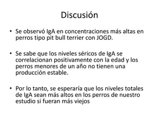 Discusión
• Se observó IgA en concentraciones más altas en
perros tipo pit bull terrier con JOGD.
• Se sabe que los niveles séricos de IgA se
correlacionan positivamente con la edad y los
perros menores de un año no tienen una
producción estable.
• Por lo tanto, se esperaría que los niveles totales
de IgA sean más altos en los perros de nuestro
estudio si fueran más viejos
 