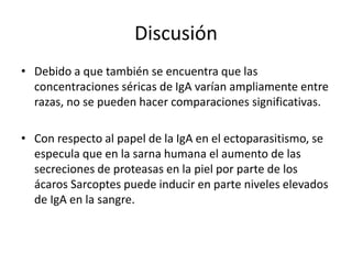 Discusión
• Debido a que también se encuentra que las
concentraciones séricas de IgA varían ampliamente entre
razas, no se pueden hacer comparaciones significativas.
• Con respecto al papel de la IgA en el ectoparasitismo, se
especula que en la sarna humana el aumento de las
secreciones de proteasas en la piel por parte de los
ácaros Sarcoptes puede inducir en parte niveles elevados
de IgA en la sangre.
 