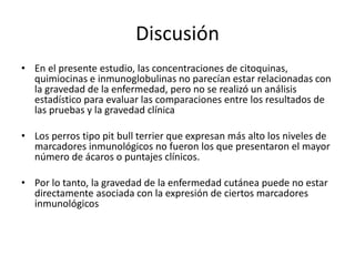 Discusión
• En el presente estudio, las concentraciones de citoquinas,
quimiocinas e inmunoglobulinas no parecían estar relacionadas con
la gravedad de la enfermedad, pero no se realizó un análisis
estadístico para evaluar las comparaciones entre los resultados de
las pruebas y la gravedad clínica
• Los perros tipo pit bull terrier que expresan más alto los niveles de
marcadores inmunológicos no fueron los que presentaron el mayor
número de ácaros o puntajes clínicos.
• Por lo tanto, la gravedad de la enfermedad cutánea puede no estar
directamente asociada con la expresión de ciertos marcadores
inmunológicos
 
