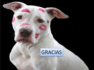 GRACIAS
 