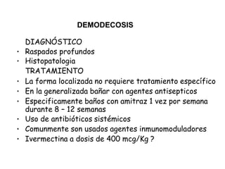 DEMODECOSIS
DIAGNÓSTICO
• Raspados profundos
• Histopatologia
TRATAMIENTO
• La forma localizada no requiere tratamiento específico
• En la generalizada bañar con agentes antisepticos
• Especificamente baños con amitraz 1 vez por semana
durante 8 – 12 semanas
• Uso de antibióticos sistémicos
• Comunmente son usados agentes inmunomoduladores
• Ivermectina a dosis de 400 mcg/Kg ?
 