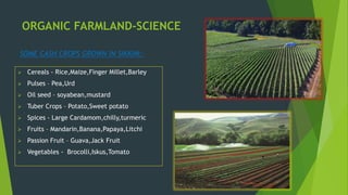 ORGANIC FARMLAND-SCIENCE
 Cereals - Rice,Maize,Finger Millet,Barley
 Pulses – Pea,Urd
 Oil seed – soyabean,mustard
 Tuber Crops – Potato,Sweet potato
 Spices - Large Cardamom,chilly,turmeric
 Fruits – Mandarin,Banana,Papaya,Litchi
 Passion Fruit – Guava,Jack Fruit
 Vegetables - Brocolli,Iskus,Tomato
SOME CASH CROPS GROWN IN SIKKIM:-
 