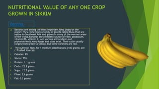 NUTRITIONAL VALUE OF ANY ONE CROP
GROWN IN SIKKIM
 Bananas are among the most important food crops on the
planet.They come from a family of plants called Musa that are
native to Southeast Asia and grown in many of the warmer areas
of the world.Bananas are a healthy source of fiber, potassium,
vitamin B6, vitamin C, and various antioxidants and
phytonutrients.Many types and sizes exist. Their color usually
ranges from green to yellow, but some varieties are red.
 The nutrition facts for 1 medium-sized banana (100 grams) are
(1Trusted Source):
1. Calories: 89
2. Water: 75%
3. Protein: 1.1 grams
4. Carbs: 22.8 grams
5. Sugar: 12.2 grams
6. Fiber: 2.6 grams
7. Fat: 0.3 grams
Banana:-
 