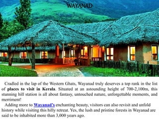 WAYANAD
Cradled in the lap of the Western Ghats, Wayanad truly deserves a top rank in the list
of places to visit in Kerala. Situated at an astounding height of 700-2,100m, this
stunning hill station is all about fantasy, untouched nature, unforgettable moments, and
merriment!
Adding more to Wayanad’s enchanting beauty, visitors can also revisit and unfold
history while visiting this hilly retreat. Yes, the lush and pristine forests in Wayanad are
said to be inhabited more than 3,000 years ago.
 