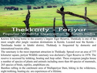 Known for being home to the country’s largest Tiger Reserve, Thekkady is one of the
most sought after jungle vacation destinations in Kerala. Located near the Kerala –
Tamilnadu border in Idukki district, Thekkady is frequented by domestic and
international tourists alike.
The sanctuary is the most important attraction in Thekkady. Spread over an area of 777
kilometer square, periyar Wildlife sanctuary was declared a Tiger Reserve in 1978. The
reserve is accessed by trekking, boating and Jeep safari. These evergreen jungles house
a number of species of plants and animals including more than 60 species of mammals,
265 species of birds, reptiles, amphibians etc.
Bamboo rafting in the catchment area of Mullaperiyar Dam, hiking in the wilderness,
night trekking, boating etc. are experiences of a lifetime.
 