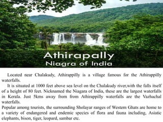 Located near Chalakudy, Athirappilly is a village famous for the Athirappilly
waterfalls.
It is situated at 1000 feet above sea level on the Chalakudy river,with the falls itself
of a height of 80 feet. Nicknamed the Niagara of India, these are the largest waterfalls
in Kerala. Just 5kms away from from Athirappilly waterfalls are the Vazhachal
waterfalls.
Popular among tourists, the surrounding Sholayar ranges of Western Ghats are home to
a variety of endangered and endemic species of flora and fauna including, Asiatic
elephants, bison, tiger, leopard, sambar etc.
 