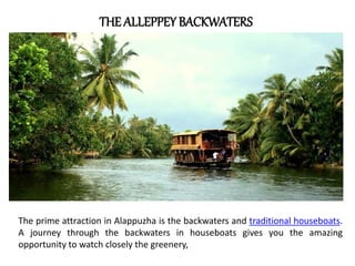 The prime attraction in Alappuzha is the backwaters and traditional houseboats.
A journey through the backwaters in houseboats gives you the amazing
opportunity to watch closely the greenery,
THE ALLEPPEY BACKWATERS
 