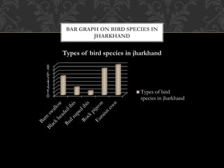 0
1
2
3
4
5
6
7
8
Types of bird species in jharkhand
Types of bird
species in jharkhand
BAR GRAPH ON BIRD SPECIES IN
JHARKHAND
 