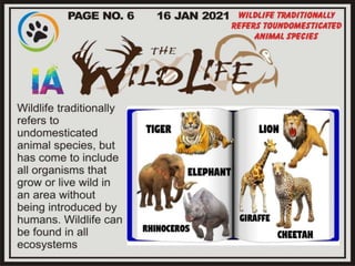 Art intergrated project BY ISHANT AGARWAL