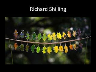 Richard Shilling
 