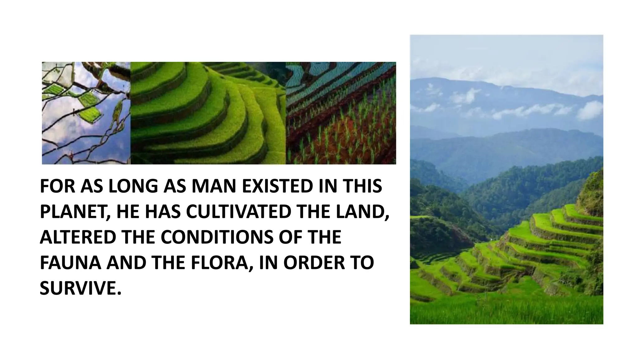 FOR AS LONG AS MAN EXISTED IN THIS
PLANET, HE HAS CULTIVATED THE LAND,
ALTERED THE CONDITIONS OF THE
FAUNA AND THE FLORA, IN ORDER TO
SURVIVE.
 
