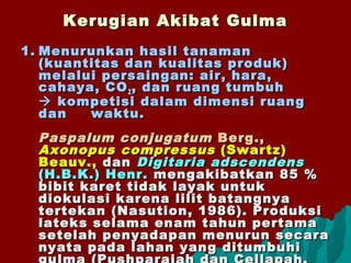 Kerugian Akibat GulmaKerugian Akibat Gulma
1.1. Menurunkan hasil tanamanMenurunkan hasil tanaman
(kuantitas dan kualitas produk)(kuantitas dan kualitas produk)
melalui persaingan: air, hara,melalui persaingan: air, hara,
cahaya, COcahaya, CO22 , dan ruang tumbuh, dan ruang tumbuh
 kompetisi dalam dimensi ruangkompetisi dalam dimensi ruang
dandan waktu.waktu.
Paspalum conjugatumPaspalum conjugatum Berg.,Berg.,
AxonopusAxonopus compressuscompressus (Swartz)(Swartz)
Beauv.,Beauv., dandan Digitaria adscendensDigitaria adscendens
(H.B.K.) Henr.(H.B.K.) Henr. mengakibatkan 85 %mengakibatkan 85 %
bibit karet tidak layak untukbibit karet tidak layak untuk
diokulasi karena lilit batangnyadiokulasi karena lilit batangnya
tertekan (Nasution, 1986). Produksitertekan (Nasution, 1986). Produksi
lateks selama enam tahun pertamalateks selama enam tahun pertama
setelah penyadapan menurun secarasetelah penyadapan menurun secara
nyata pada lahan yang ditumbuhinyata pada lahan yang ditumbuhi
 