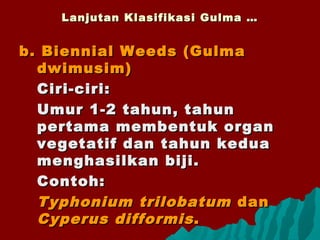 b. Biennial Weeds (Gulmab. Biennial Weeds (Gulma
dwimusim)dwimusim)
Ciri-ciri:Ciri-ciri:
Umur 1-2 tahun, tahunUmur 1-2 tahun, tahun
pertama membentuk organpertama membentuk organ
vegetatif dan tahun keduavegetatif dan tahun kedua
menghasilkan biji.menghasilkan biji.
Contoh:Contoh:
Typhonium trilobatumTyphonium trilobatum dandan
Cyperus difformisCyperus difformis..
Lanjutan Klasifikasi Gulma …Lanjutan Klasifikasi Gulma …
 