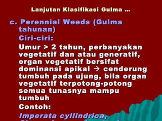 Lanjutan Klasifikasi Gulma …Lanjutan Klasifikasi Gulma …
c. Perennial Weeds (Gulmac. Perennial Weeds (Gulma
tahunan)tahunan)
Ciri-ciri:Ciri-ciri:
Umur > 2 tahun, perbanyakanUmur > 2 tahun, perbanyakan
vegetatif dan atau generatif,vegetatif dan atau generatif,
organ vegetatif bersifatorgan vegetatif bersifat
dominansi apikaldominansi apikal  cenderungcenderung
tumbuh pada ujung, bila organtumbuh pada ujung, bila organ
vegetatif terpotong-potongvegetatif terpotong-potong
semua tunasnya mampusemua tunasnya mampu
tumbuhtumbuh
Contoh:Contoh:
Imperata cyllindricaImperata cyllindrica ,,
 