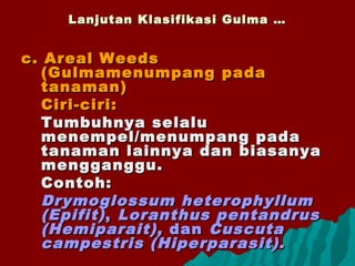 Lanjutan Klasifikasi Gulma …Lanjutan Klasifikasi Gulma …
c. Areal Weedsc. Areal Weeds
(Gulmamenumpang pada(Gulmamenumpang pada
tanaman)tanaman)
Ciri-ciri:Ciri-ciri:
Tumbuhnya selaluTumbuhnya selalu
menempel/menumpang padamenempel/menumpang pada
tanaman lainnya dan biasanyatanaman lainnya dan biasanya
mengganggu.mengganggu.
Contoh:Contoh:
Drymoglossum heterophyllumDrymoglossum heterophyllum
(Epifit)(Epifit),, Loranthus pentandrusLoranthus pentandrus
(Hemiparait),(Hemiparait), dandan CuscutaCuscuta
campestris (Hiperparasit).campestris (Hiperparasit).
 