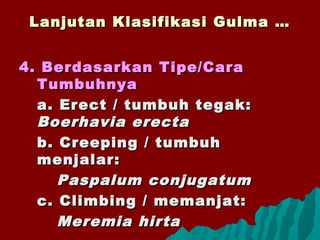 Lanjutan Klasifikasi Gulma …Lanjutan Klasifikasi Gulma …
4. Berdasarkan Tipe/Cara4. Berdasarkan Tipe/Cara
TumbuhnyaTumbuhnya
a. Erect / tumbuh tegak:a. Erect / tumbuh tegak:
Boerhavia erectaBoerhavia erecta
b. Creeping / tumbuhb. Creeping / tumbuh
menjalar:menjalar:
Paspalum conjugatumPaspalum conjugatum
c. Climbing / memanjat:c. Climbing / memanjat:
Meremia hirtaMeremia hirta
 
