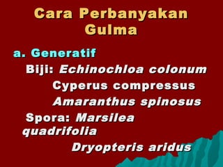 Cara PerbanyakanCara Perbanyakan
GulmaGulma
a. Generatifa. Generatif
Biji:Biji: Echinochloa colonumEchinochloa colonum
Cyperus compressusCyperus compressus
Amaranthus spinosusAmaranthus spinosus
Spora:Spora: MarsileaMarsilea
quadrifoliaquadrifolia
Dryopteris aridusDryopteris aridus
 