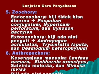 Lanjutan Cara PenyebaranLanjutan Cara Penyebaran
5. Zoochory:5. Zoochory:
Endozoochory: biji tidak bisaEndozoochory: biji tidak bisa
dicernadicerna  PaspalumPaspalum
conjugatumconjugatum,, HypericumHypericum
perforatumperforatum , dan, dan CynodonCynodon
dactylondactylon
Extozoochory: biji ada alatExtozoochory: biji ada alat
pengaitpengait  AndropogonAndropogon
aciculatusaciculatus,, Tryumfetta laputaTryumfetta laputa ,,
dandan Desmodium heterophyllumDesmodium heterophyllum
6. Anthropochory:6. Anthropochory:
Kesengajaan manusia:Kesengajaan manusia: LantanaLantana
camaracamara,, Eichhornia crassipesEichhornia crassipes ,,
Salvinia molestaSalvinia molesta ,, dandan MimosaMimosa
invisainvisa
 