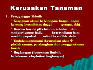 Kerusakan TanamanKerusakan Tanaman
1.1. Pengganggu AbiotikPengganggu Abiotik
* Gangguan alam (kekeringan, banjir,* Gangguan alam (kekeringan, banjir, anginangin
kencang bersalinitas tinggi,kencang bersalinitas tinggi, gempa, dsb).gempa, dsb).
* Kondisi tanah (pHekstrem, tekstur* Kondisi tanah (pHekstrem, tekstur dandan
strukturkurang baik,strukturkurang baik, ketersediaan haraketersediaan hara
rendah, populasirendah, populasi mikrobia sedikit, dsb).mikrobia sedikit, dsb).
* Tindakan agronomi (kerusakan akar* Tindakan agronomi (kerusakan akar
pindah tanam, pendangiran danpindah tanam, pendangiran dan penggemburanpenggemburan
tanah.tanah.
* Lingkungan (keracunan limbah,* Lingkungan (keracunan limbah,
kebakaran, eksploitasi lingkungan).kebakaran, eksploitasi lingkungan).
 