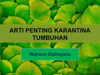 ARTI PENTING KARANTINA 
TUMBUHAN 
Wahono Diphayana 
 