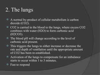 Arterial Blood Gas Analysis process identification | PPT