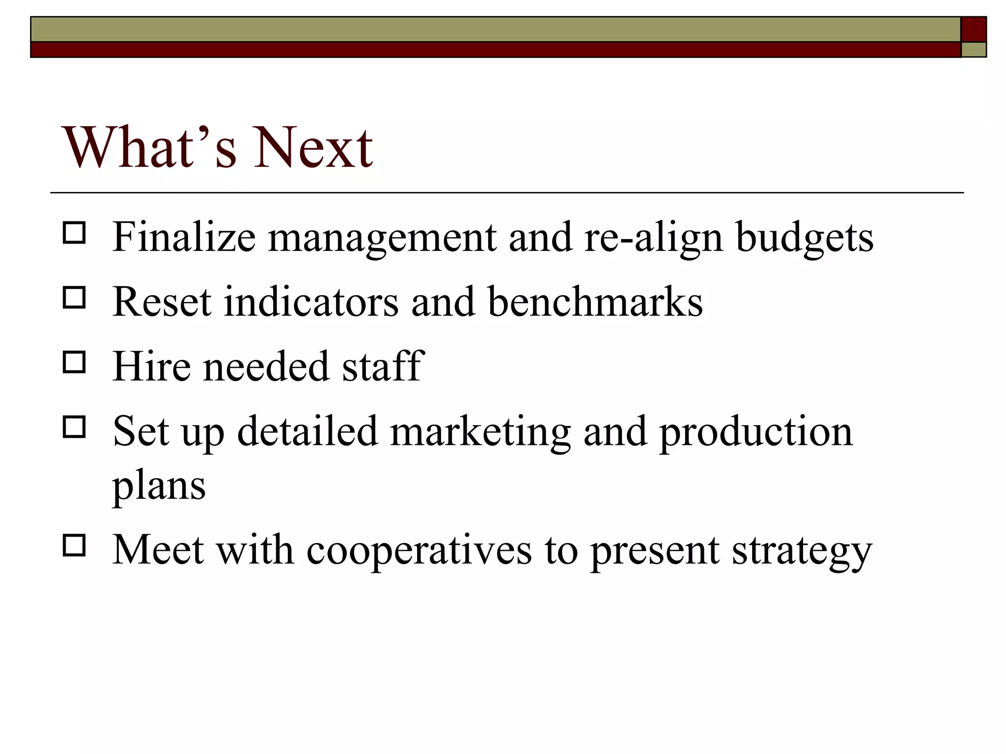 Artisan Strategy Presentation | PPT