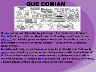 QUE COMIAN 
El trigo, que era una planta silvestre difundida en Asia menor, fue cultivado en 
Oriente Medio y su cultivo se difundió en el Neolítico llegando a Europa hacia el 
5000 a. C. Se comían los granos de trigo y otros cereales. Más tarde se trituraron, 
comiéndolos triturados o convertidos en pasta. A veces también se comían los 
granos hervidos. 
Los sistemas de moler harina con molinos de piedra se difundió en el Neolítico. La 
pasta o masa de harina y agua se cocía en piedras calientes. Más tarde se descubrió 
el sistema de fermentación y su cocción comenzó a realizarse en hornos cada vez 
más evolucionados. Se fabricaba el pan con harina de trigo, de cebada y de centeno, 
y probablemente también con otros cereales como mijo y avena. 
 