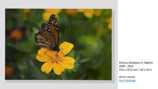Danaus plexippus in Tagetes
2009 - 2010
914 x 1372 mm | 36 x 54 in
Oil on canvas
Fact Paintings
 