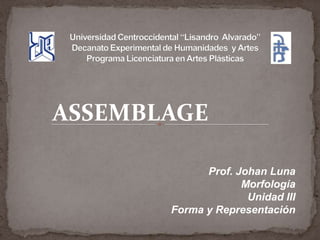 ASSEMBLAGE
Prof. Johan Luna
Morfología
Unidad III
Forma y Representación

 