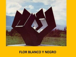 FLOR BLANCO Y NEGRO
 