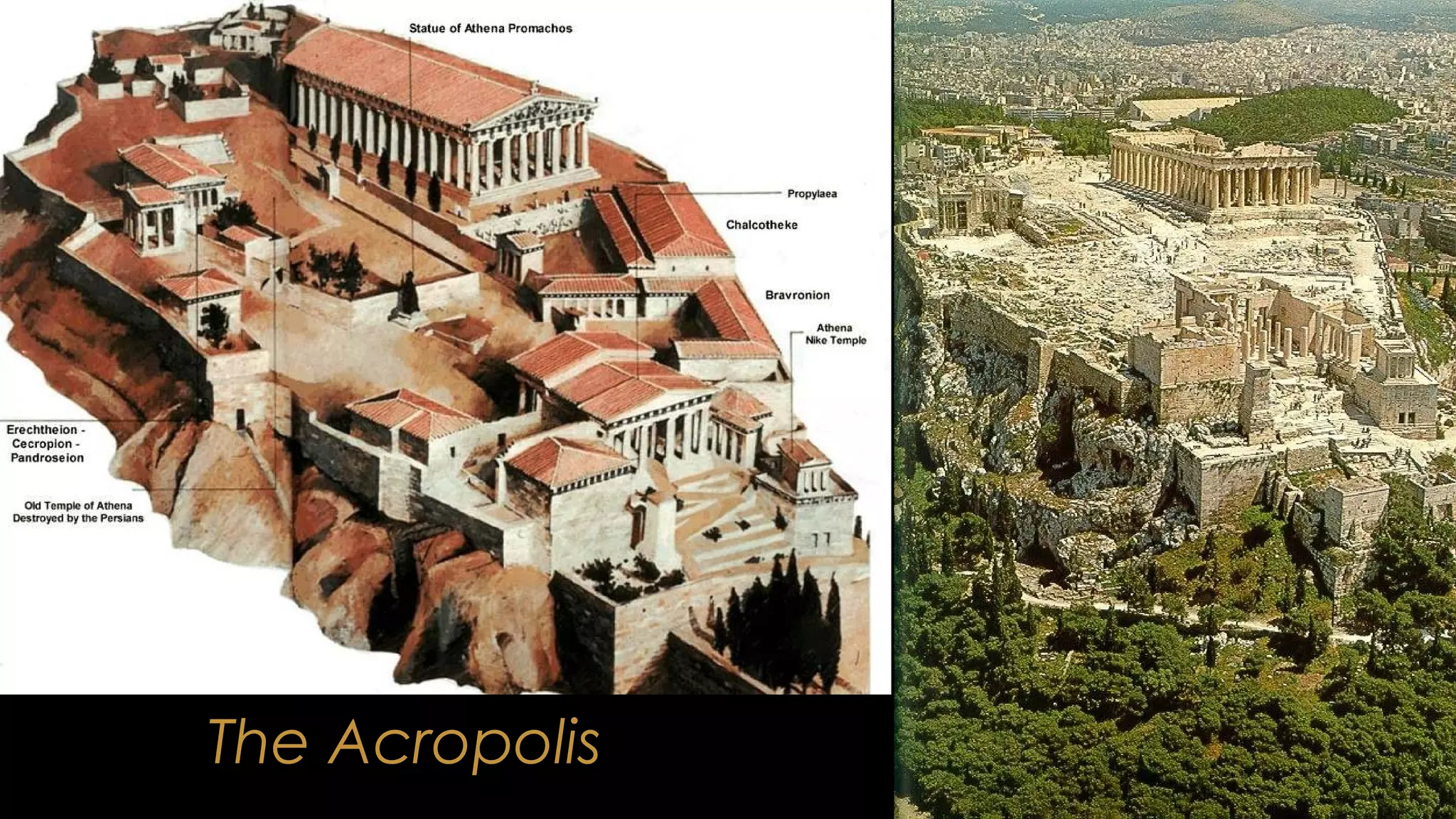 The Acropolis
 