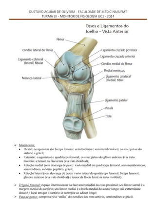 GUSTAVO AGUIAR DE OLIVEIRA - FACULDADE DE MEDICINA/UFMT
TURMA LII - MONITOR DE FISIOLOGIA UC1 - 2014
 Movimentos:
 Flexão: os agonistas são bíceps femoral, semitendíneo e semimembranáceo; os sinergistas são
sartório e grácil;
 Extensão: o agonista é o quadríceps femoral; os sinergistas são glúteo máximo (via trato
iliotibial) e tensor da fáscia lata (via trato iliotibial);
 Rotação medial (sem descarga de peso): vasto medial do quadríceps femoral, semimembranáceo,
semitendíneo, sartório, poplíteo, grácil;
 Rotação lateral (sem descarga de peso): vasto lateral do quadríceps femoral, bíceps femoral,
glútexo máximo (via trato iliotibial) e tensor da fáscia lata (via trato iliotibial).
 Trígono femoral: espaço intermuscular na face anteromedial da coxa proximal; seu limite lateral é a
margem medial do sartório; seu limite medial é a borda medial do adutor longo; sua extremidade
distal é o local em que o sartório se sobrepõe ao adutor longo;
 Pata de ganso: composta pela “união” dos tendões dos mm.sartório, semitendíneo e grácil.
 