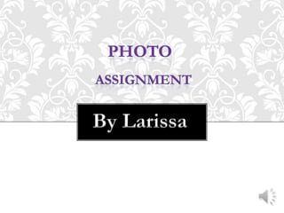 Photo  assignment  By Larissa 
