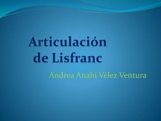 Andrea Anahí Vélez Ventura
 