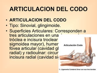 ARTICULACION DEL CODO ARTICULACION DEL CODO Tipo: Sinovial, glingimoide.  Superficies Articulares: Corresponden a tres articulaciones en una. humeroulnar; tróclea e incisura troclear (cavidad sigmoidea mayor), humeroradial; cóndilo y fóvea articular (cavidad glenoidea o fosa radial) y radioulnar: circunferencia radial e incisura radial (cavidad sigmoidea menor).  