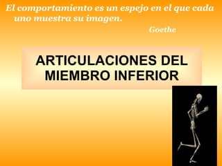 ARTICULACIONES DEL MIEMBRO INFERIOR El comportamiento es un espejo en el que cada uno muestra su imagen. Goethe 