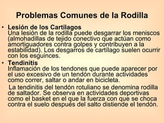 Problemas Comunes de la Rodilla Lesión de los Cartílagos Una lesión de la rodilla puede desgarrar los meniscos (almohadillas de tejido conectivo que actúan como amortiguadores contra golpes y contribuyen a la estabilidad). Los desgarros de cartílago suelen ocurrir con los esguinces.  Tendinitis Inflamación de los tendones que puede aparecer por el uso excesivo de un tendón durante actividades como correr, saltar o andar en bicicleta.  La tendinitis del tendón rotuliano se denomina rodilla de saltador. Se observa en actividades deportivas como el basket en el que la fuerza con que se choca contra el suelo después del salto distiende el tendón.  