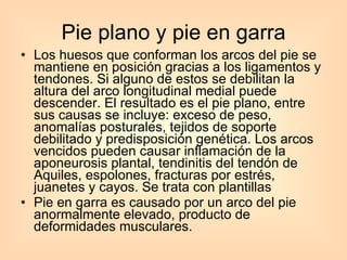 Pie plano y pie en garra Los huesos que conforman los arcos del pie se mantiene en posición gracias a los ligamentos y tendones. Si alguno de estos se debilitan la altura del arco longitudinal medial puede descender. El resultado es el pie plano, entre sus causas se incluye: exceso de peso, anomalías posturales, tejidos de soporte debilitado y predisposición genética. Los arcos vencidos pueden causar inflamación de la aponeurosis plantal, tendinitis del tendón de Aquiles, espolones, fracturas por estrés, juanetes y cayos. Se trata con plantillas Pie en garra es causado por un arco del pie anormalmente elevado, producto de deformidades musculares. 